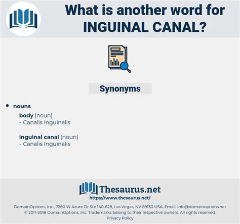 another word for inguinal